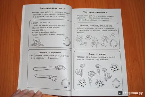 Нефедова подготовка к школе