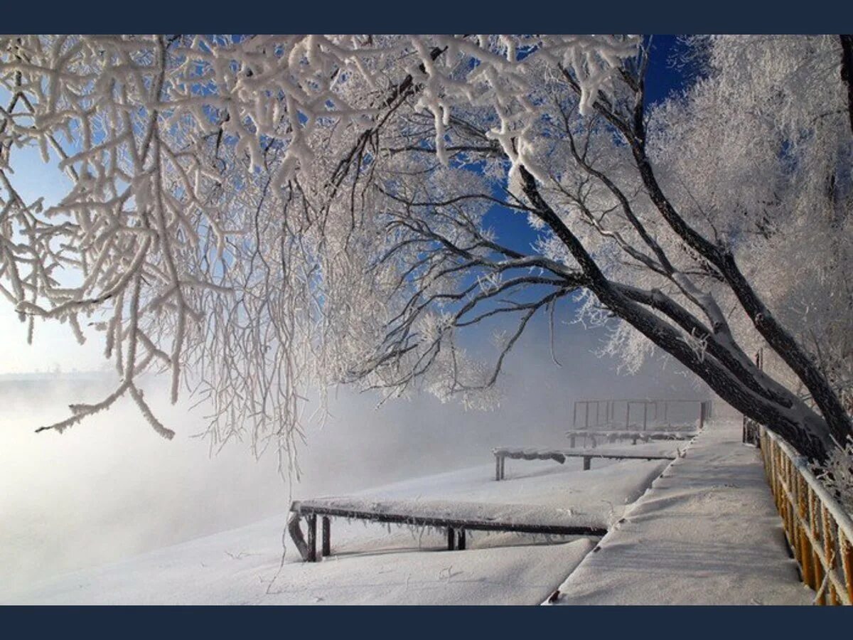 Тише тише снег идет. Зимний пейзаж метель. Красивый падающий снег. Тихий зимний пейзаж. Что такое зима это снег и метели.