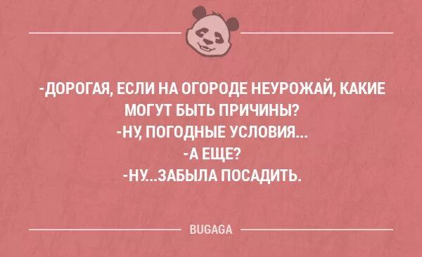 Фразы удивления. Афоризмы про удивление. Фразы про удивление смешные. Цитаты про удивление. Смешные выражения удивления.