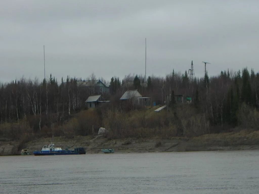 Цгмс на 10 дней. Цгмс на 10 дней