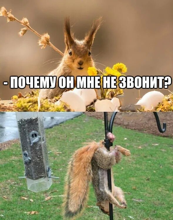Зачем шутку