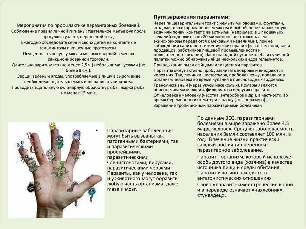 Учет паразитарных заболеваний. Мероприятия по профилактике паразитарных болезней. мероприятие по профилактике паразитарных заболеваний. санитарные мероприятия при паразитарных болезнях. профилактика при паразитарных заболеваниях.