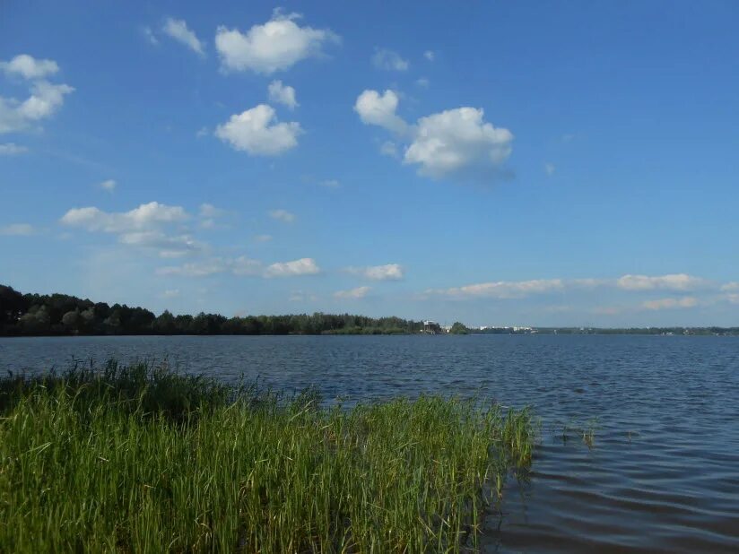 Водоемы выксы. Запасный пруд Выкса. Выкса верхний пруд. Выксунский верхний пруд. Нижний пруд Выкса.