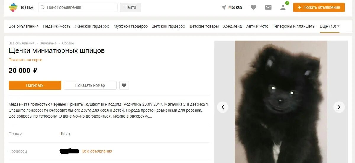 Подать объявления животные. Подать объявления животные. Подать объявления животные. Подать объявления животные. Объявления о продаже животных.