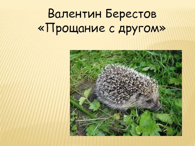 Стихи в д берестова. Песья песня берестов. Песья песня стих берестов. Песья песня берестов. Песья песня стихотворение.