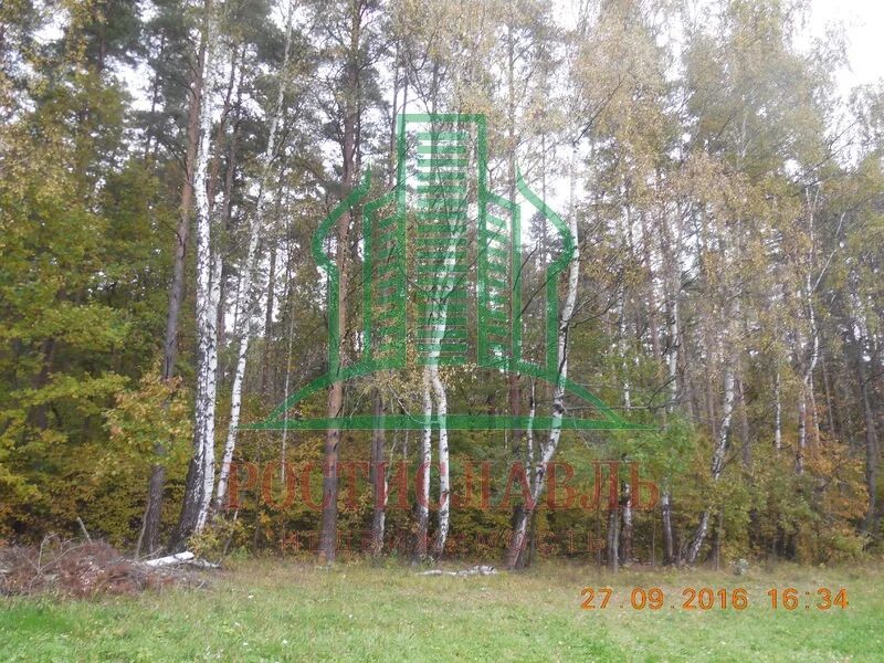 Земельный участок автомобилист. Земельный участок автомобилист. Земельный участок автомобилист. Земельный участок автомобилист. Снт автомобилист 2 тюмень.