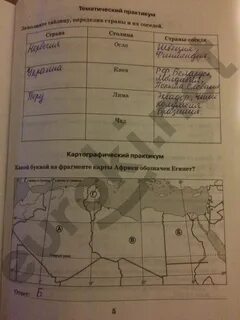 География 5 класс стр 91 номер 10