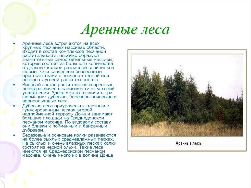 Какие леса встречаются на территории. Аренные леса. Аренные леса Ростовской области. Рост леса. Опушки лесов с безлесными пространствами.
