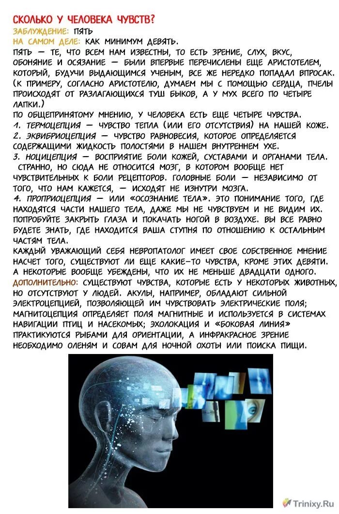 Сколько чувств есть у человека. Человек в заблуждении. Сколько чувств у человека. Сколько у человека чув. Эквибриоцепция.