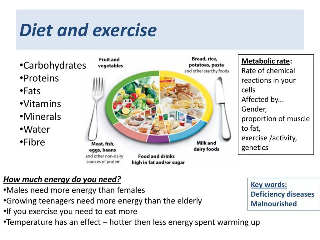 Healthy diet exercises. Задания по health diet. diet health and exercise. diet health and exercise worksheets. carbohydrates fat protein exercise.