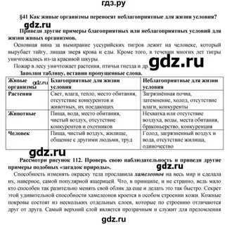 История 5 класс учебник параграф 41