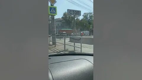 Свежак 2023
