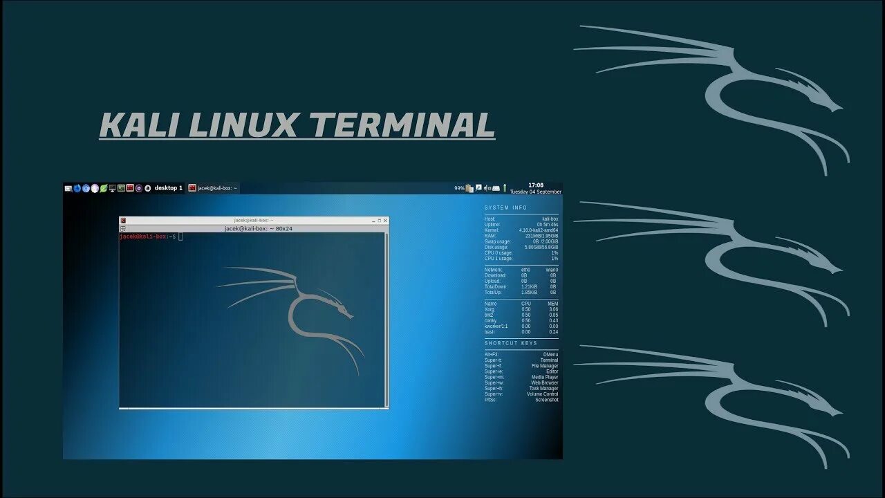 Терминал кали линукс. Kali linux новый терминал. терминал кали линукс &#039;rjyrf. картинки на терминал кали линукс.