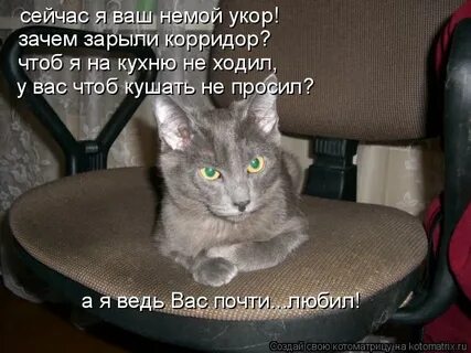 Не твой укор не властны