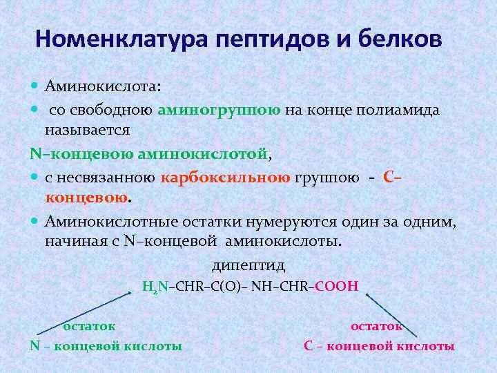 Общая характеристика пептидов полипептидов белков. Общая характеристика пептидов полипептидов белков. Общая характеристика пептидов полипептидов белков. Физические свойства пептидов. Пептиды полипептиды белки.