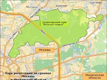 Как добраться до лосиного парка