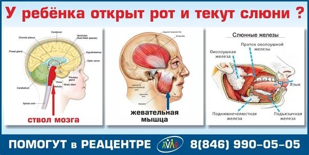 У ребенка 3 месяца текут слюни почему. Причины обильного слюнотечения у ребенка. текут слюни у ребенка в 2 года почему.