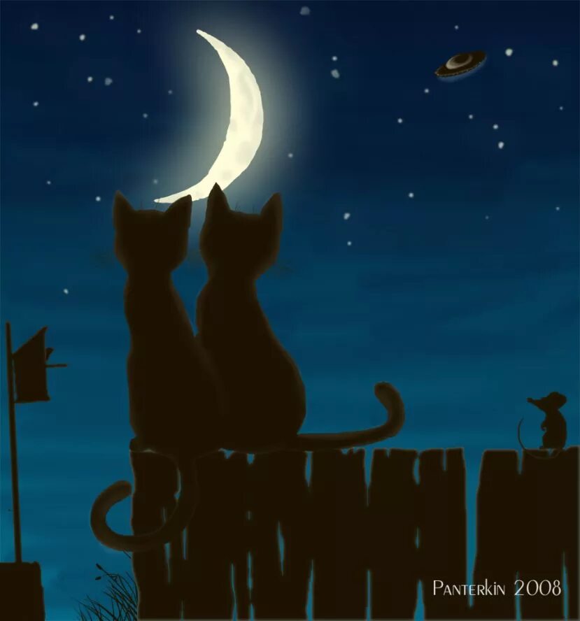 Кот на Луне. Кошка ночью. Котики под луной. Коты на крыше ночью. Песня кошка ночь
