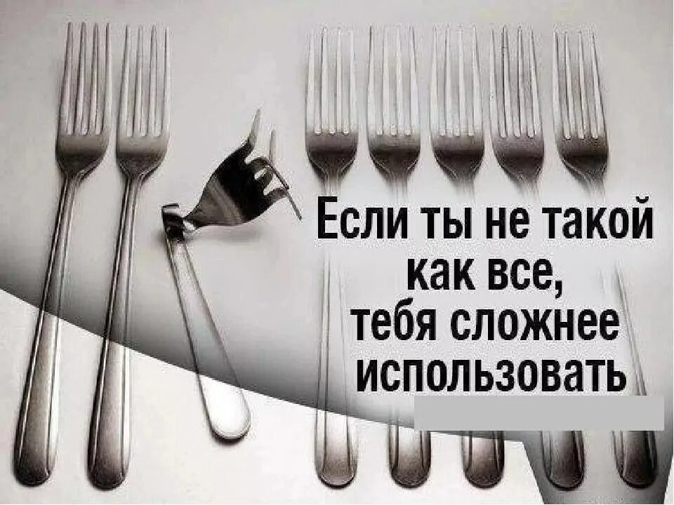 Есть все как в