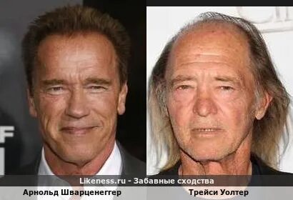 Шварценеггер похожие