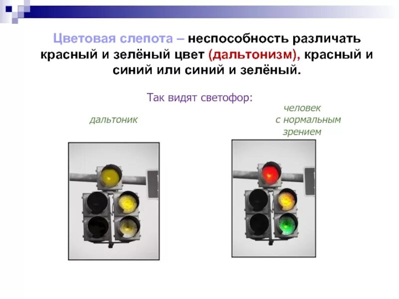 Светофор для дальтоников. Цветовая слепота. Цвета светофора для дальтоников. Цветовая слепота генетика.