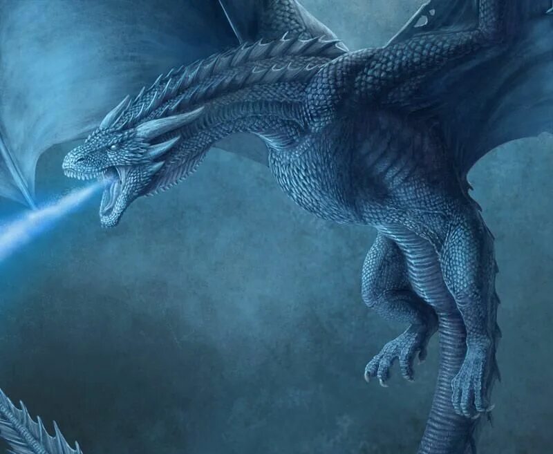 Истинная судьба дракона. Дракон ледяной (Draco occidentalis maritimus). Ледяной дракон реалистичный. Дракон льда арт.