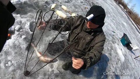 Хапуга рыболовные войска
