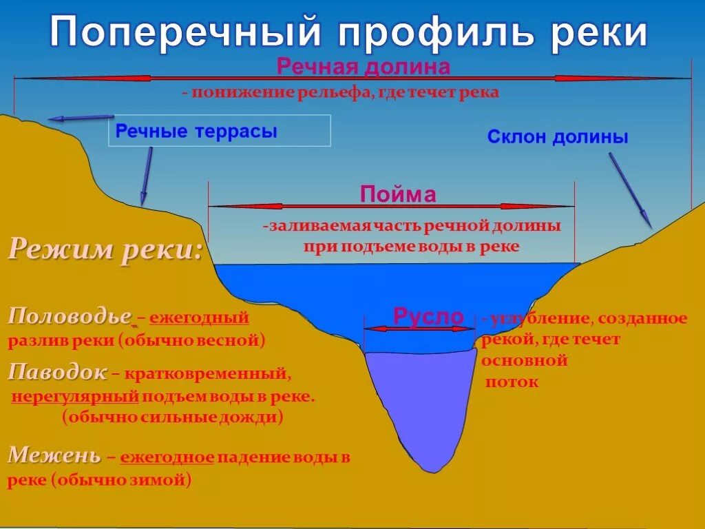 Поперечный профиль Речной Долины схема. Поперечный профиль реки, Долины речные террасы. Продольный и поперечный профиль реки. Русло Пойма Речная Долина. Внутренние континентальные воды