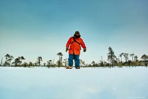 В поисках сюжета