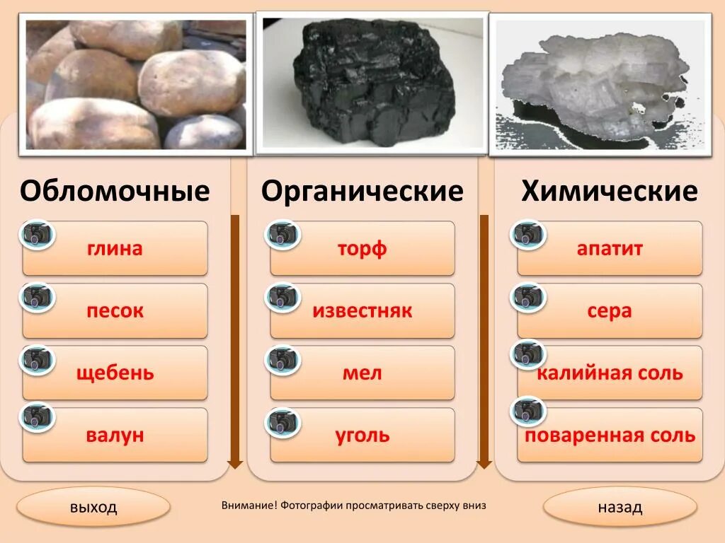 Осадочные химические горные породы. Осадочные горные породы обломочные химические органические. Обломочные химические органические горные породы. Тонкообломочные горные породы. Осадочные горючие