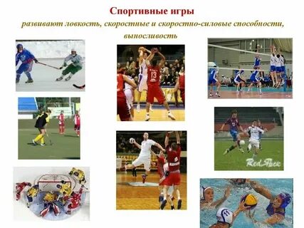 Вид спорта преимущественно развивающий ловкость