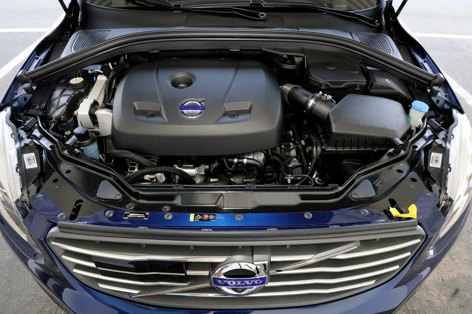 Моторное 2017