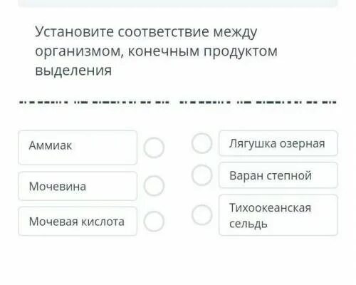 Установите соответствие между животными и особенностями выделения. Продукт выделения аммиак. продукт выделения — мочевина. установите соответствие между организмами и их органами выделения. продукт выделения аммиак у рыб или амфибий.