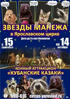 Цирк ярославль билеты