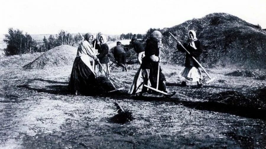 Переселенцы в вятскую губернию. Крестьяне переселенцы сибирь 20 век. крестьяне переселенцы сибирь 19 век. переселенцы в алтайский край в 19 веке. алтайский край в 18 веке.