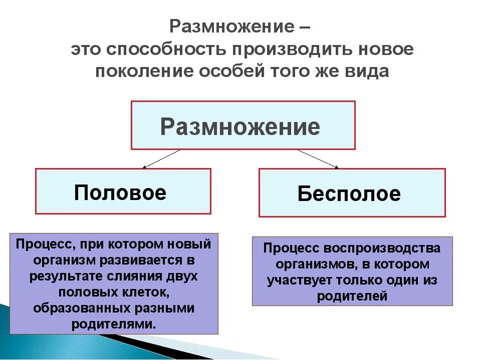 Каковы особенности бесполого размножения кратко. Размножение это в биологии. Размножение биология 9 класс. Биология размножение организмов кратко. Размножение это кратко.