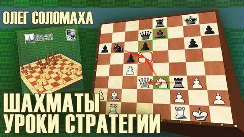 Соломаха шахматы