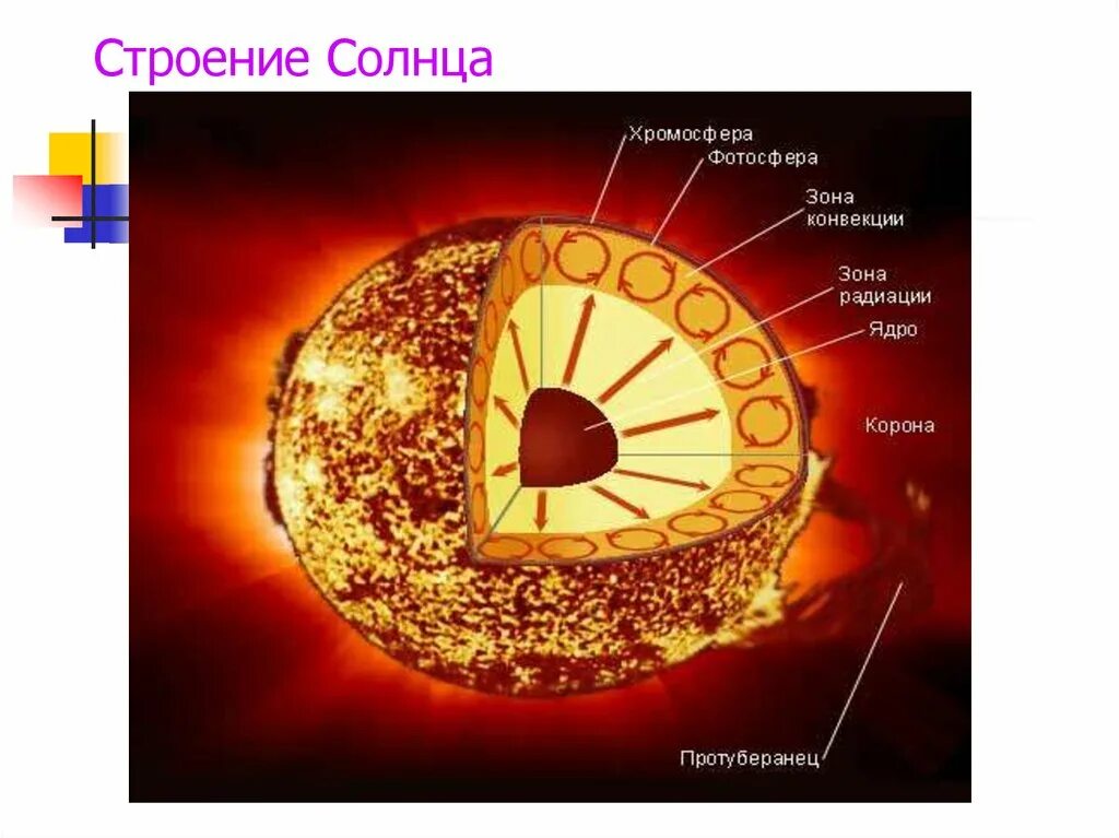 Какого строение солнца. Строение солнца схема. солнце строение солнца. внутреннее строение солнца астрономия. строение атмосферы солнца схема.