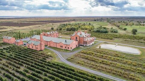 Вина арпачина