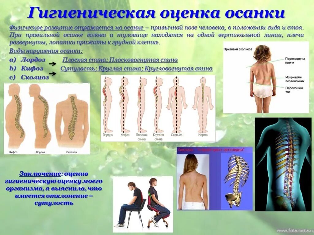 Осанка как показатель физического развития человека 5 класс. Коэффициент состояния осанки норма. Осанка на рабочем месте. Значение правильной осанки для здоровья человека. Осанка как показатель физического развития.