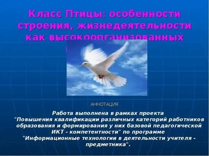 Жизнедеятельность птиц