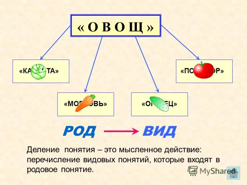 родовые и видовые понятия для дошкольников. осина классификация. обучающие плакаты для детского сада. 1. родовое понятие садовые деревья.