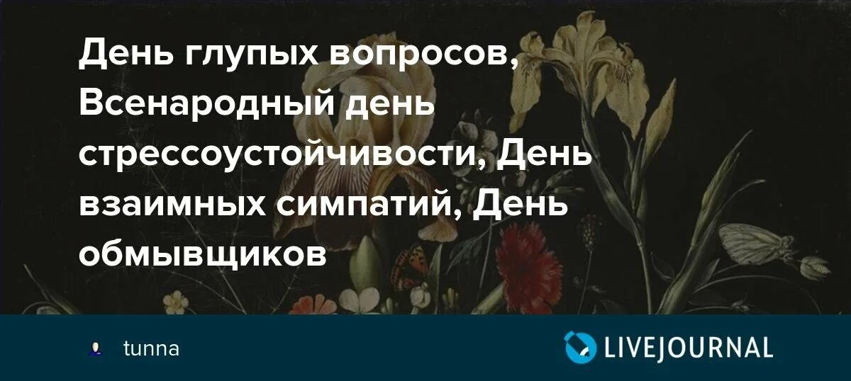 День глупых людей. День глупых вопросов. День обмывщиков 17 ноября. День взаимных симпатий. День обмывщиков картинки.