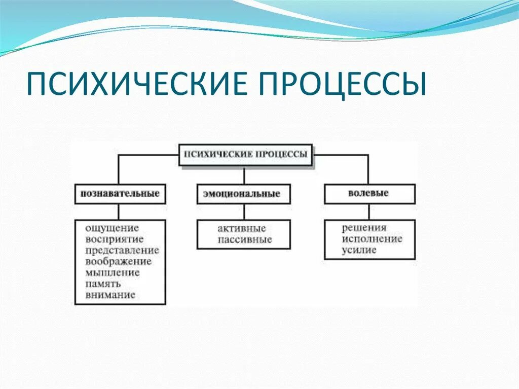 8 познавательных процессов. Психические процессы личности. Психические процессы делятся на:. Перечислите Познавательные процессы психики. Основными психическими процессами являются.