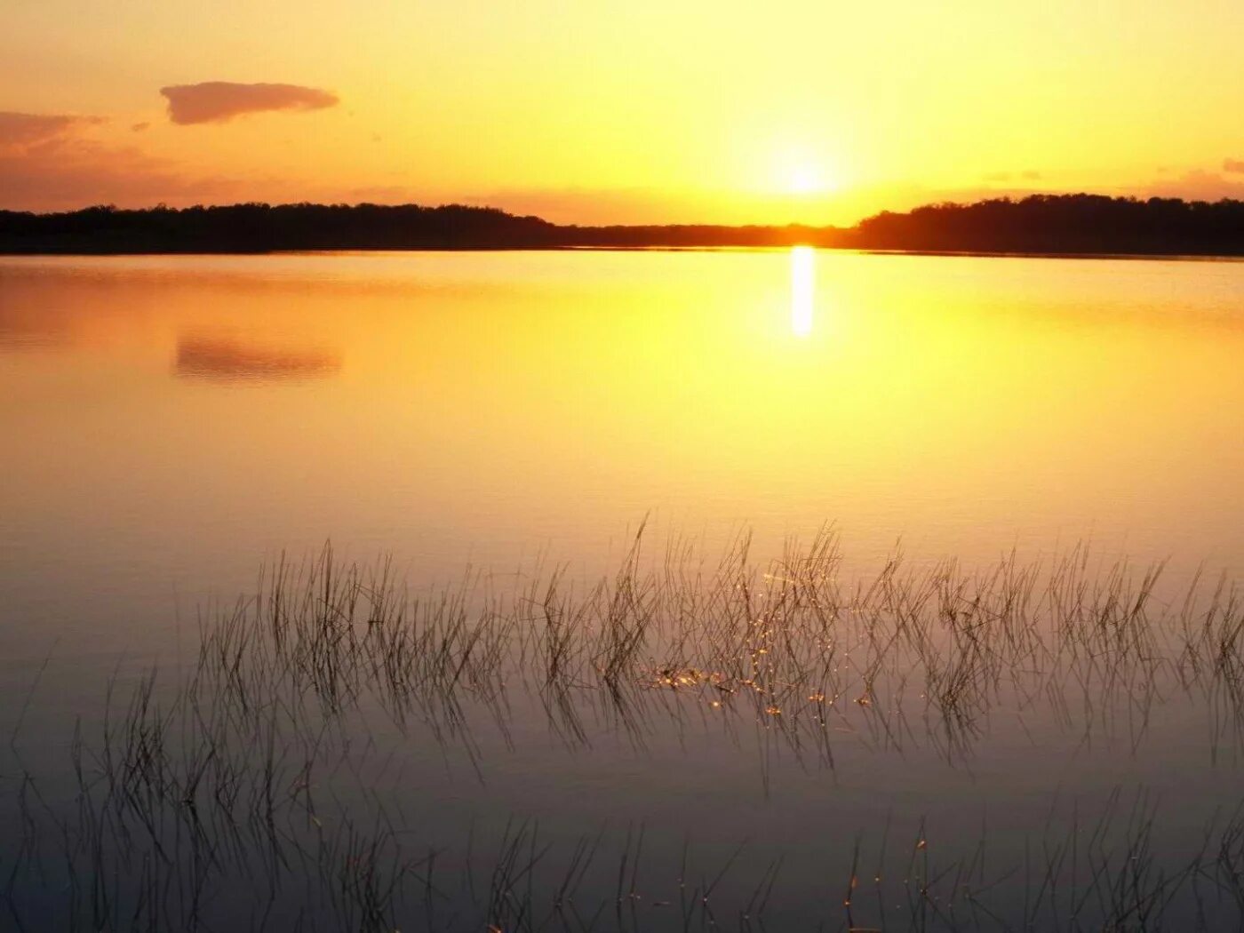 Рассвет над озером. Природа Восход. Восход над озером. Рассвет над озером детали.