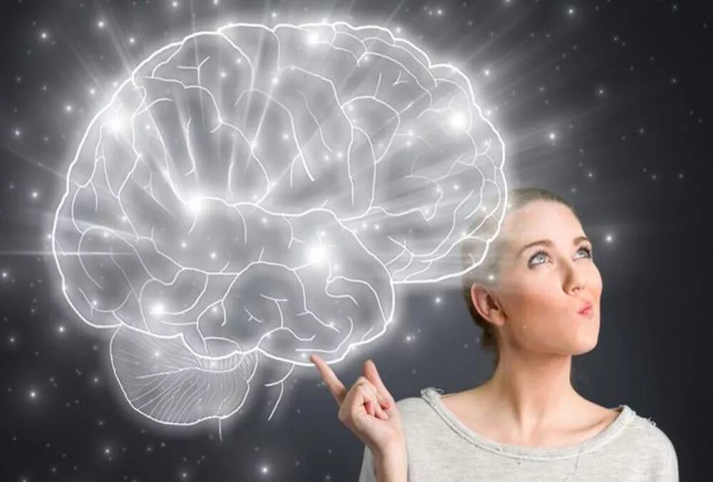 Мозг на ладони. Прозрачный мозг. Неразбериха в голове. Еда в голове. Красивый мозг.