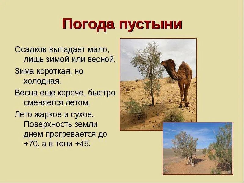 В пустыне выпадает малое количество осадков