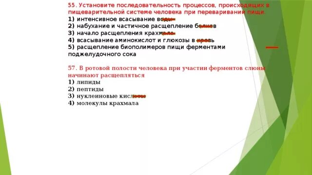 Процессы происходящие в пищеварительной системе по порядку. Переваривание пищи последовательность процессов. Последовательность процессов, происходящих при пищеварении.. Установите последовательность процессов пищеварения. Ряд процедур 8 букв последняя с