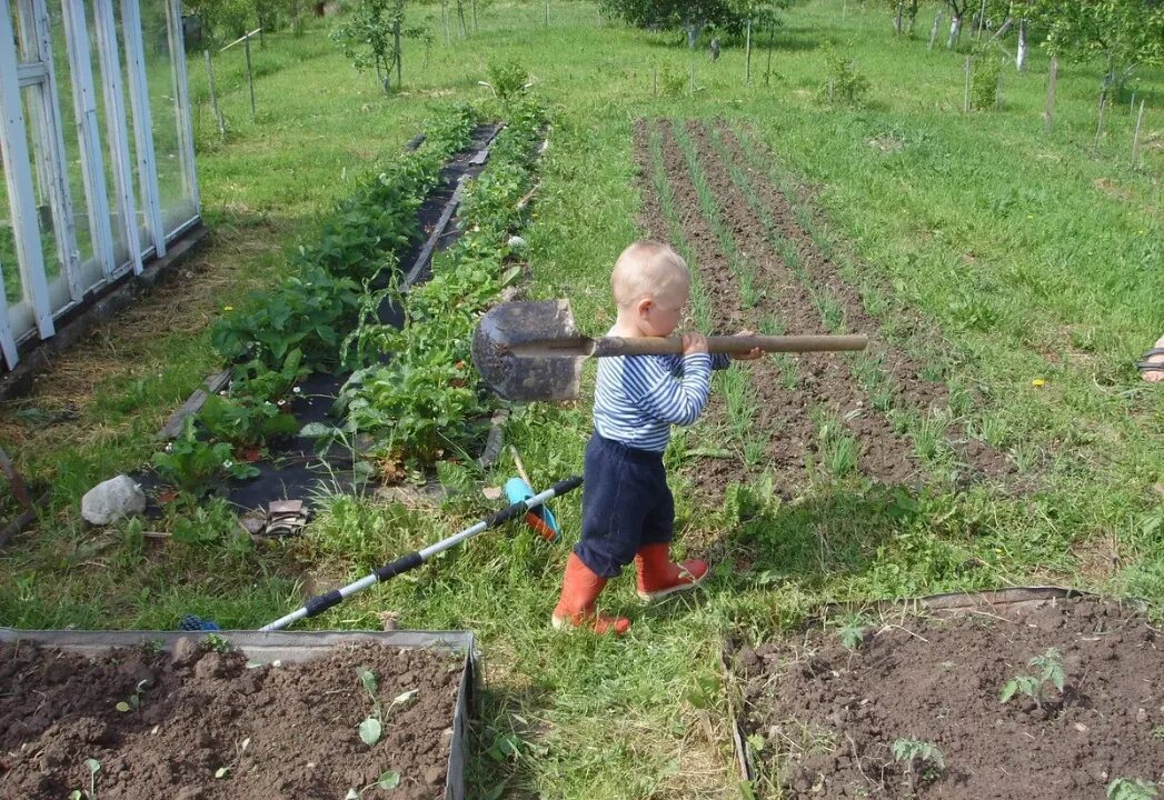 Устала на даче. Копать огород. Огород для детей. Копать грядки. Копаем грядка на огороде.