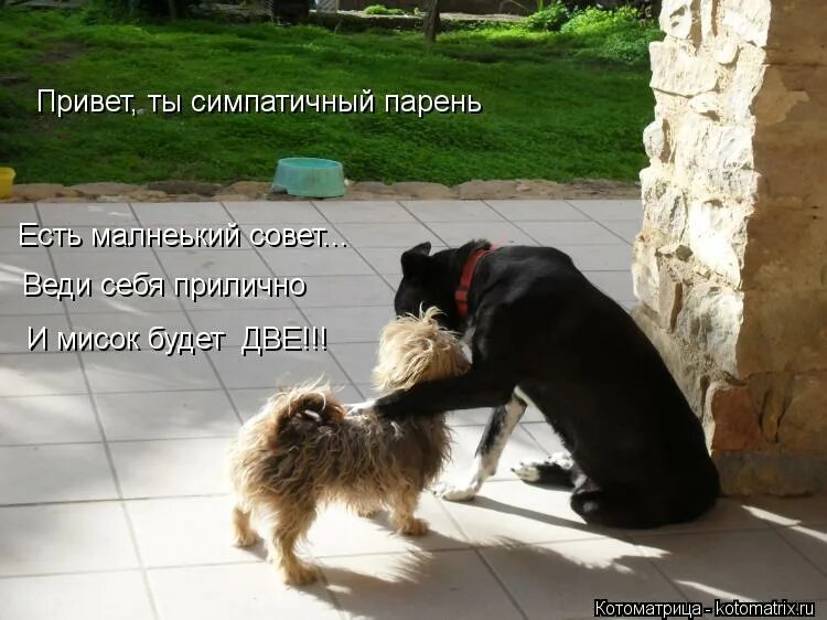 Хочется новое платьице. Встала на путь истинный стою идти-то куда. Агутин с днем рождения. Хочу себе парня. Хочу себе парня приличного ничего.